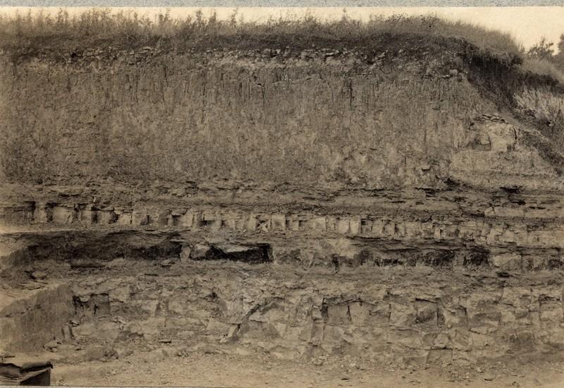 Purbeck Formation as seen in the Bugle Pit, Hartwell in the early 20th Century.